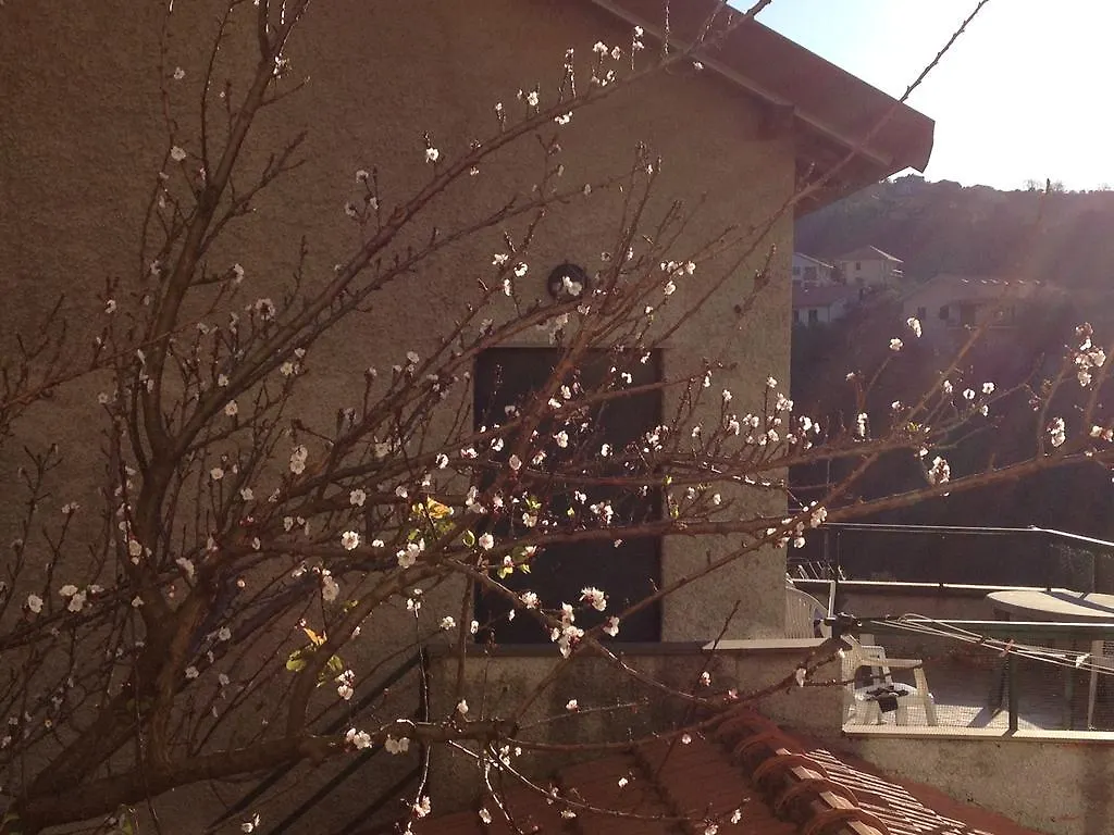 Agriturismo Olivarancio Leivi 意大利